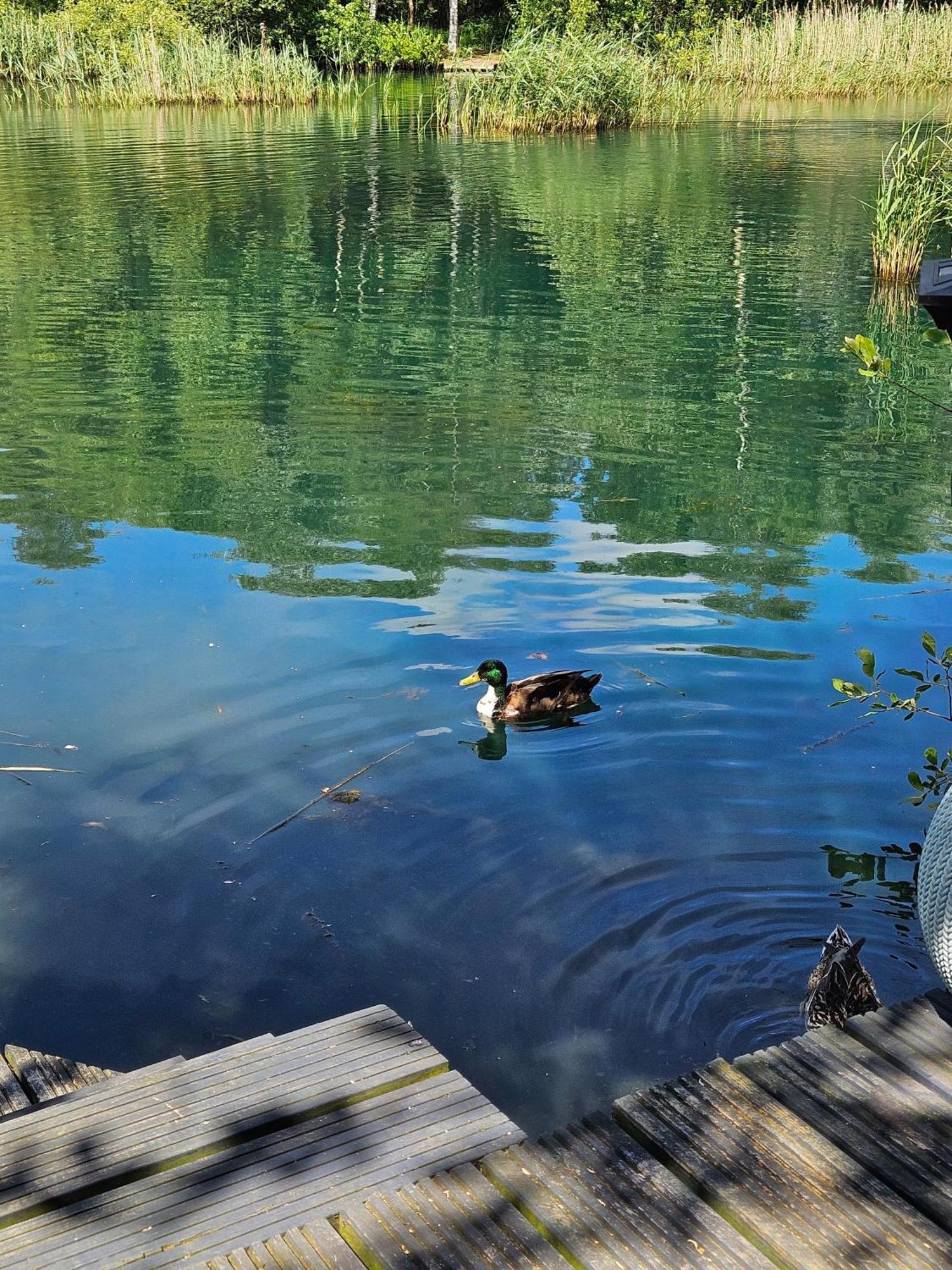 Luxury Lakeside Caravan With Hottub And Private Fishing Peg, Tattershall Lakes Ngoại thất bức ảnh